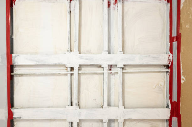 Best Comprehensive Air Testing for Mold Contaminants  in Reeds Spring, MO
