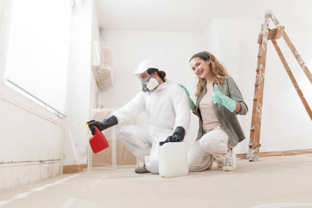 Best Environmental Consulting for Mold Prevention  in Reeds Spring, MO